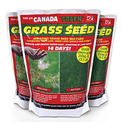 Canada ’Green’ Grass Seed 500g