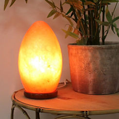 Egg Shaped Rock Salt Lamp with Wooden Base