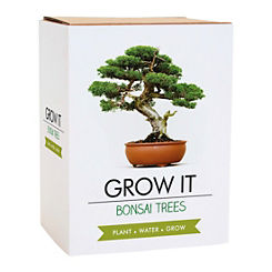 Grow It Bonsai Tree - Grow Your Own Kit