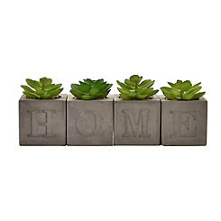 Hestia Set of 4 Faux Plants in a Home Cement Pot