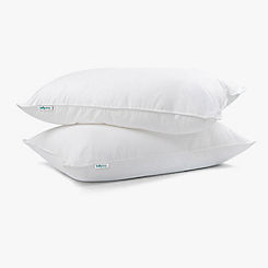 Kally Sleep Set of 2 5 Star Hotel Pillows