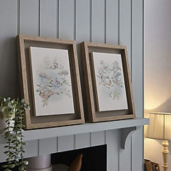 Laura Ashley Elderwood Set of 2 Floral & Birds Framed Floating Canvases