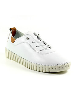 Lunar Flamborough White Leather Shoes