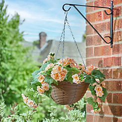 Smart Garden Begonia Blooms Faux Décor Hanging Basket