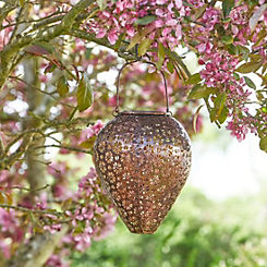 Smart Garden Zahra Hanging Lantern in Bronze