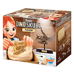 Triceratops Museum Skull science kit