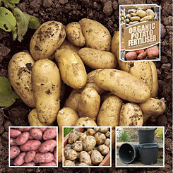 You Garden Potato Grow Kit - 3 Varieties