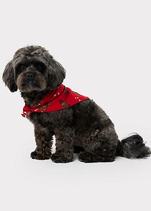 Chelsea peers cockapoo discount dog pyjama set