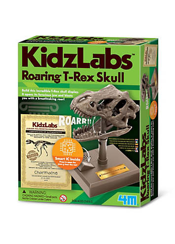 coast paris ruffle hem dress