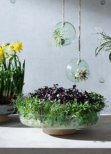 LSA Canopy Eiskübel 15 Cm – Handgefertigt Aus Recyceltem Glas Mit Korkbasis