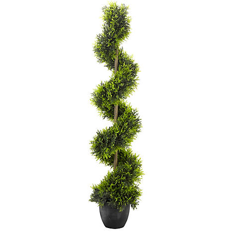 Cypress Topiary Twirl | Grattan