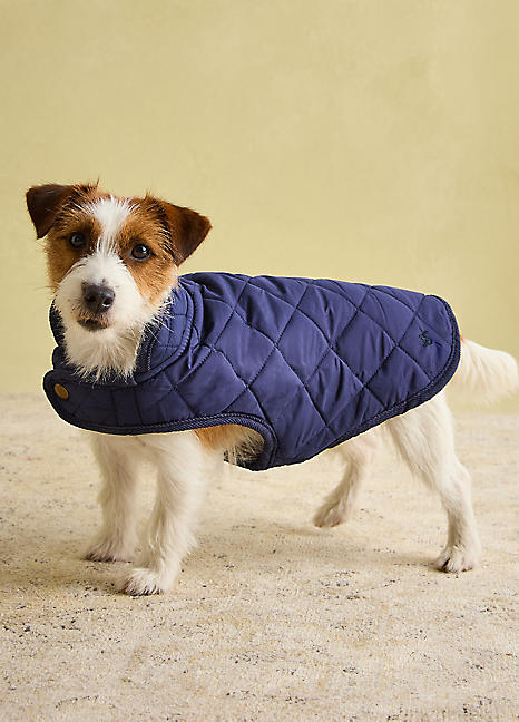Joules Navy Quilted Dog Coat Grattan