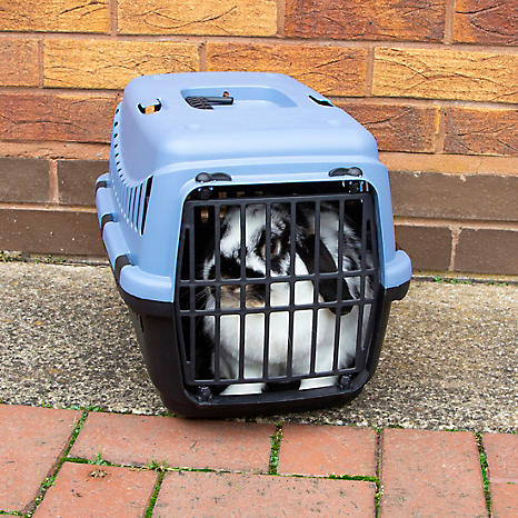 Rosewood shop pet carrier