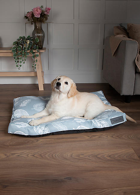 Medium hotsell dog mattress