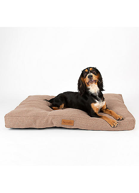 Harmony memory sale foam lounger