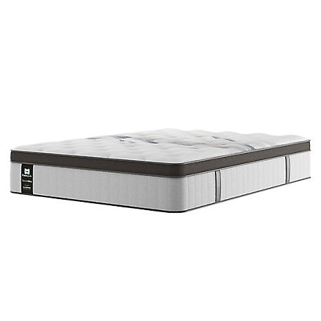 Queen mattress medium deals plush