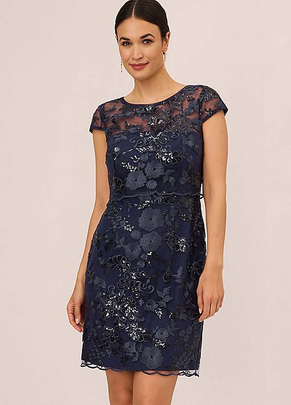 Adrianna Papell Sequin Popover Dress Grattan