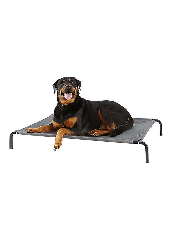 Elevated dog bed with sides best sale