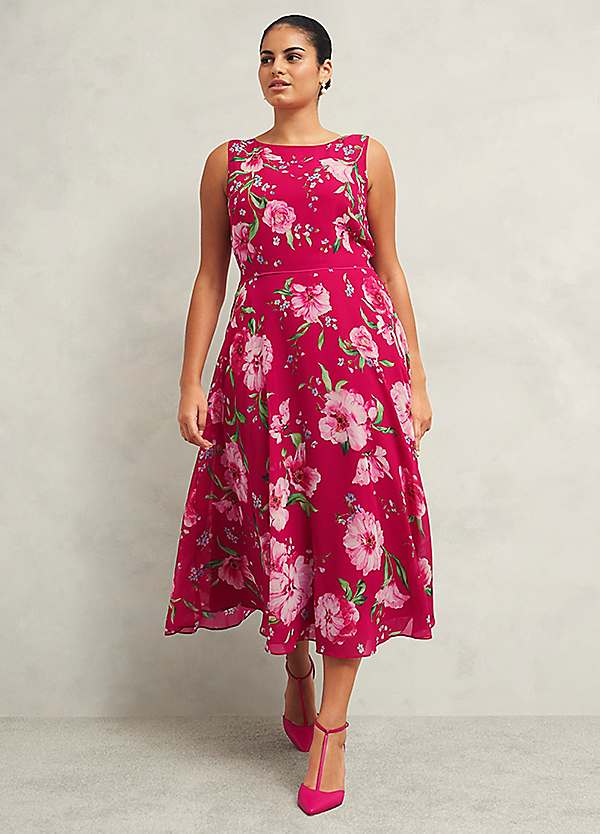 HOBBS Carly Dress | Grattan