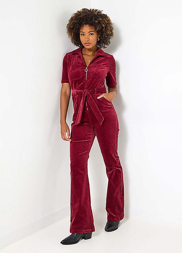 Joe Browns Petite Zip Front Belted Bootcut Cord Jumpsuit | Grattan