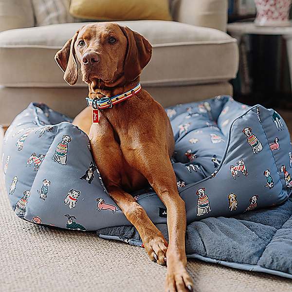 Joules dog 2024 bed sale