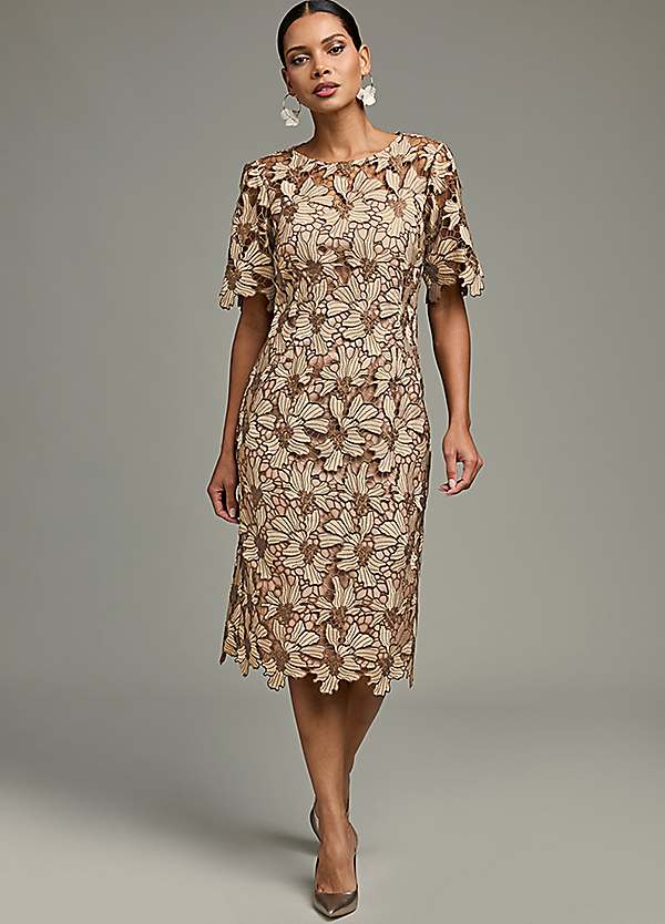 Kaleidoscope Mocha Lace Shift Dress | Grattan