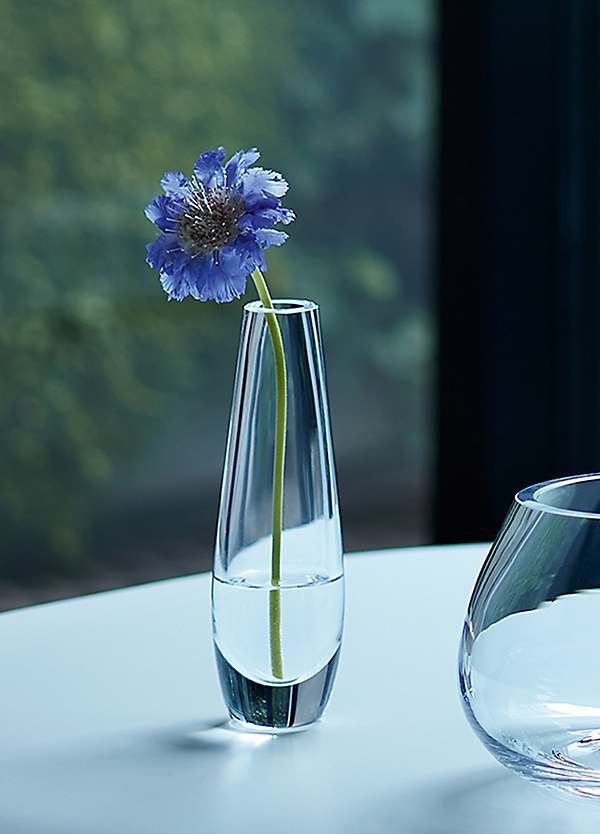 LSA Flower Single Stem Vase - Clear | Grattan