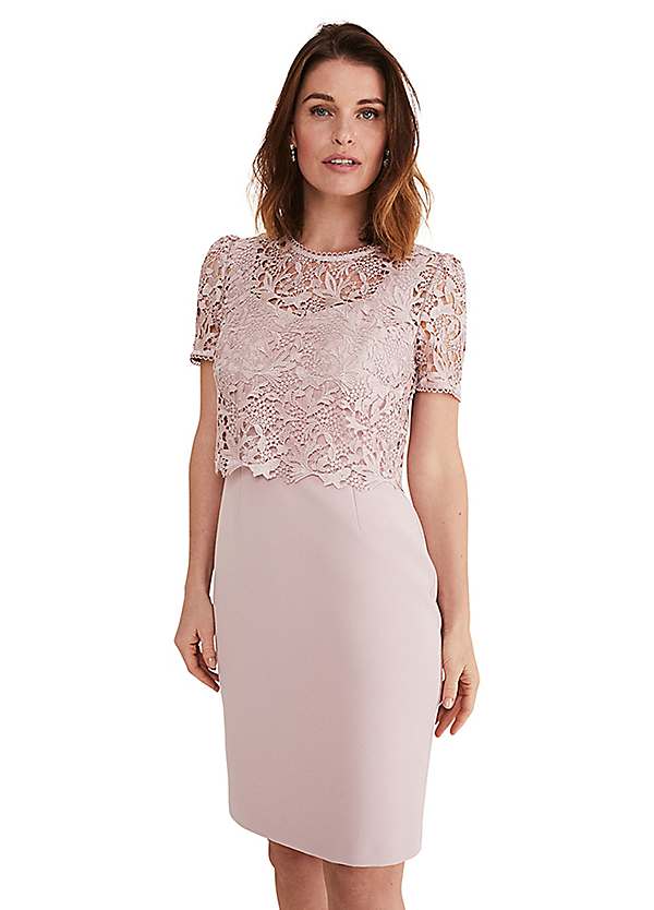 【PHASE EIGHT】Aurora Lace Dress Aurora Lace Dress | Phase Eight ROW |