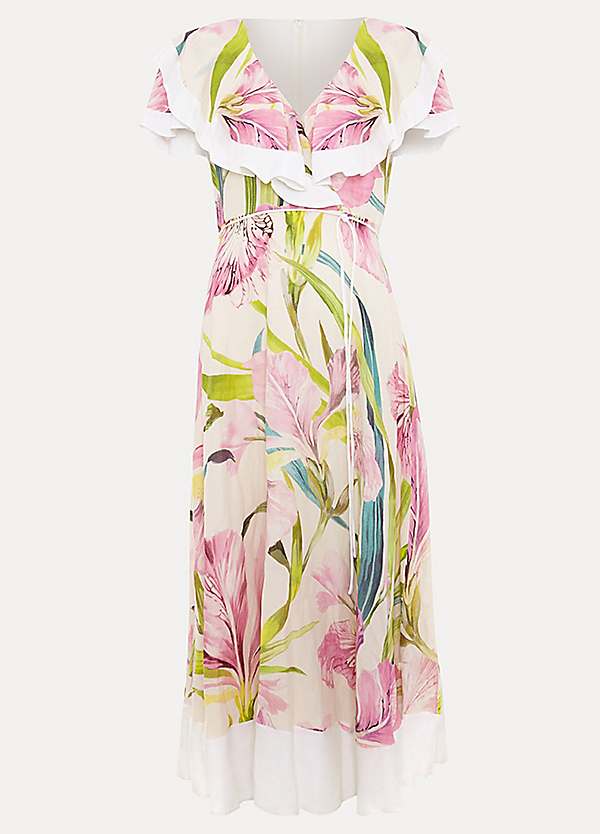 Phase Eight Matilda Floral Dress | Grattan