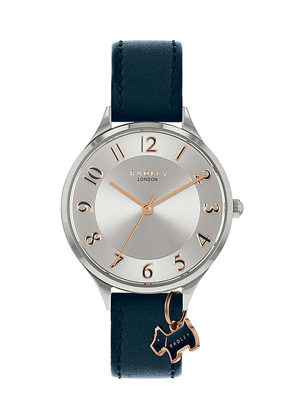 Stainless steel sale radley watches