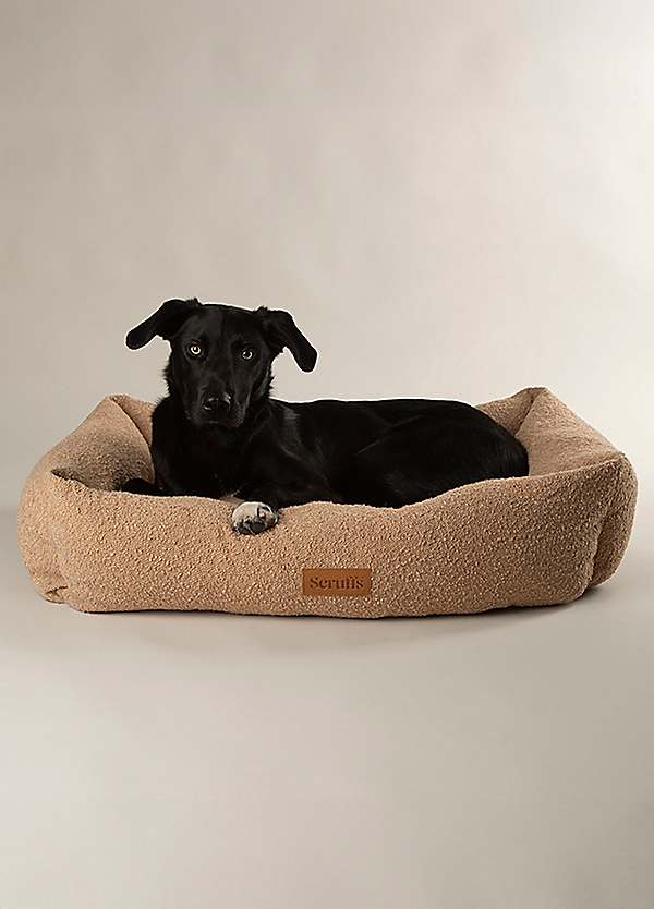 Amazon Scruffs Scruffs Large Dog Bed Hundebett Teddy Laboni Creme  Orthopdisches Hundebett